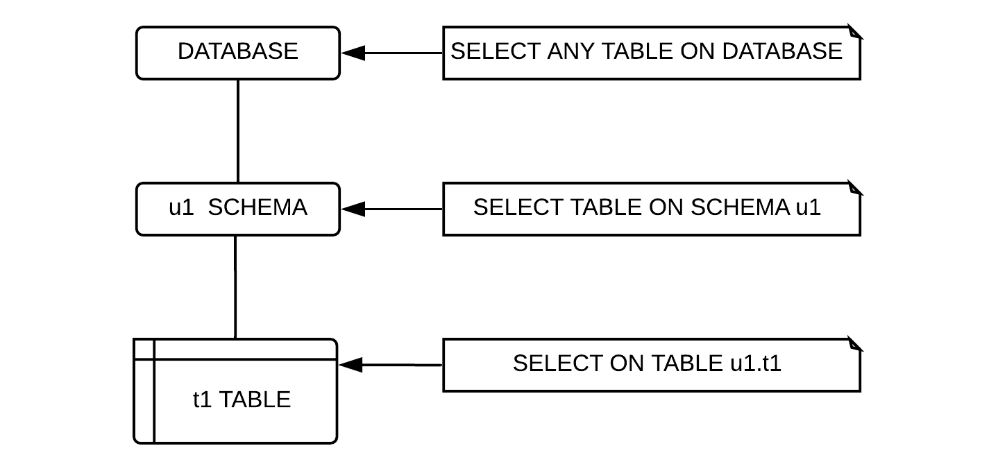 Privilege to execute SELECT statement
