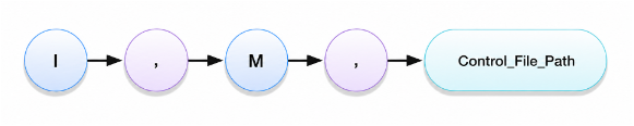 Control file information expression